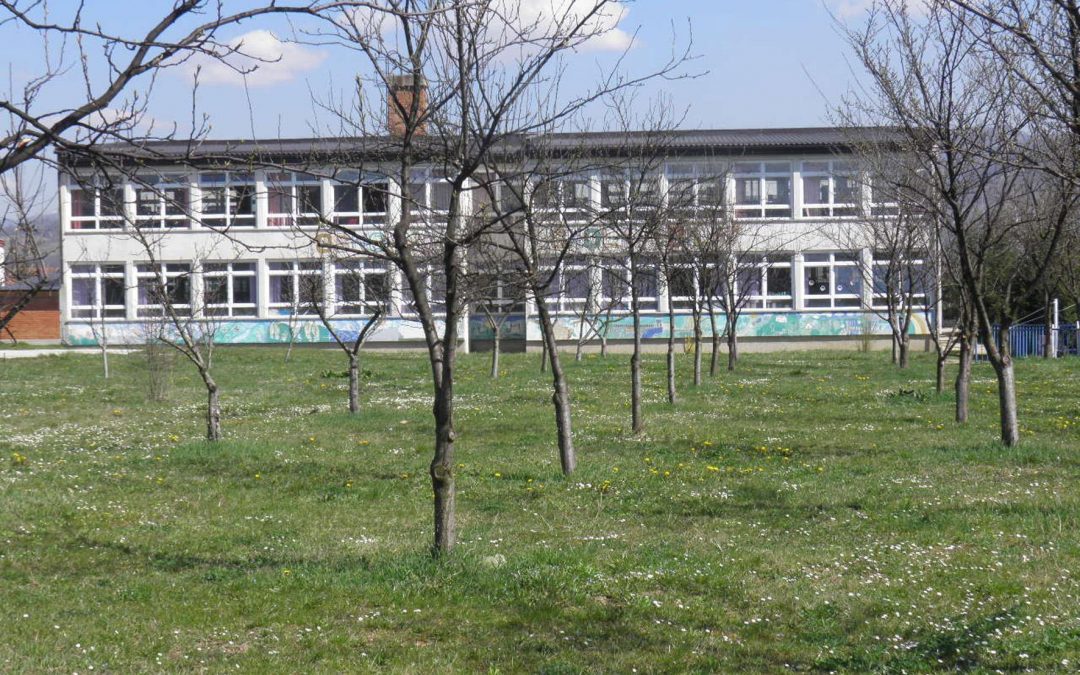 Obnova voćnjaka naše škole