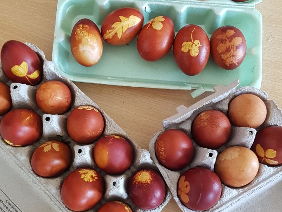 Sekcija Domaćinstvo